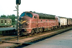 DSB MY 1101 with a freight train photographed at the railway station in Fredericia August 1975.  The MY class was built by Nydquist & Holm AB (NOHAB) in Sweden licensed by General Motors. Danish subsuppliers (Frichs and Thrige) took part in the production. A1A-A1A. Dieselelectric. MY 1101 - 1105 was supplied with a General Motor 16-cyl. diesel engine performing 1.700 hp. The diesel engine in MY 1106 - 1144 was performing 1.950 hp - MY 1145 - 1159 1700 hp. Max speed 133 km/h - 83 mph. Length 18 900 mm. Weight 101,6 metric tonnes. MY 1101 was put in service in 1954. It was taken out of service in 1986 and given over to the DSB Museumtog. Today it still belongs to the DSB Museumstog. It is fully renovated and in active service as locomotive for museum trains. It runs at a max. speed of 120 kmt - 75 mph.
